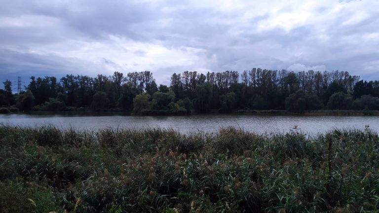 a05.jpg