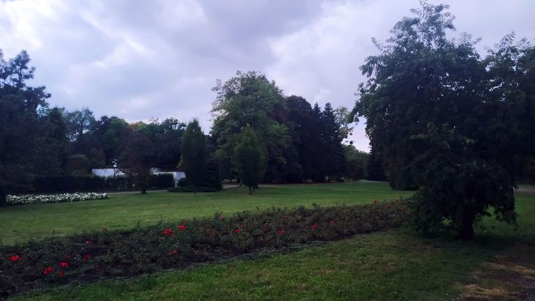 a08.jpg