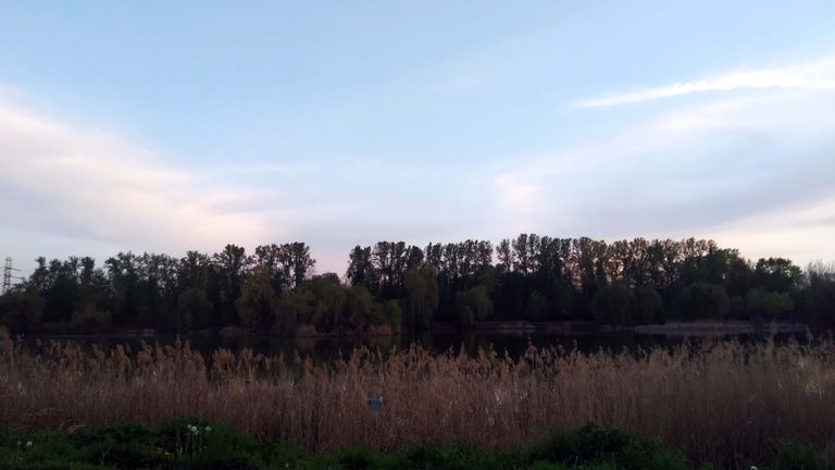 a02.jpg