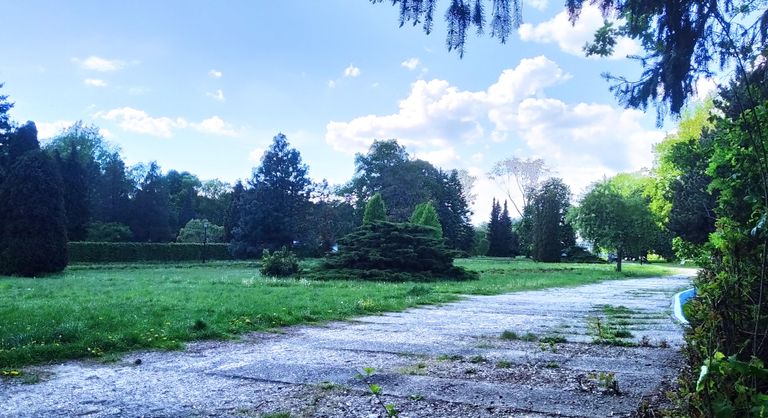 a01.jpg