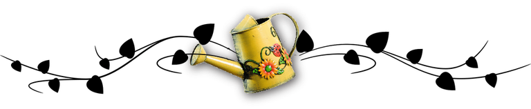 ornament_konewka_copy.png
