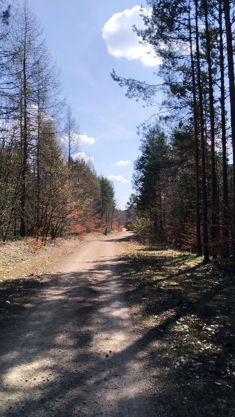 a07.jpg