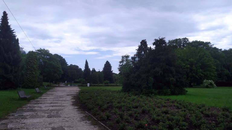 a06.jpg