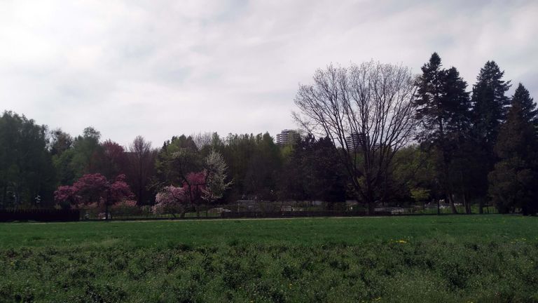 a06.jpg