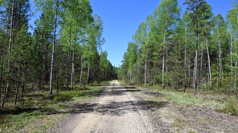 a06.jpg