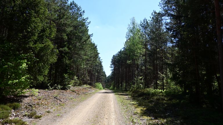a08.jpg