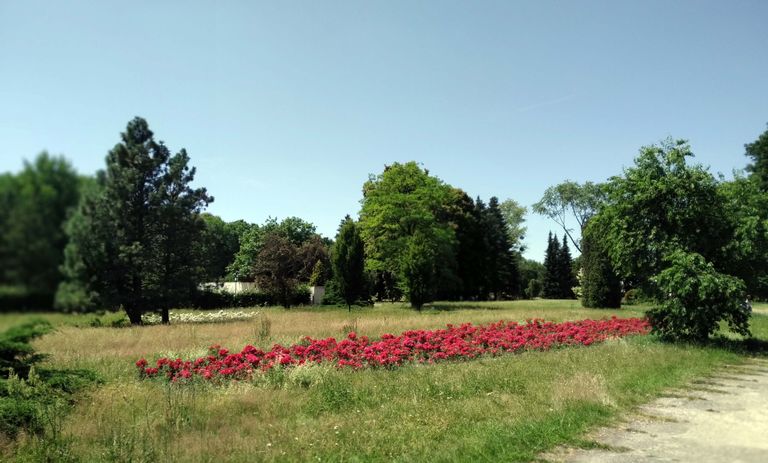 a09.jpg