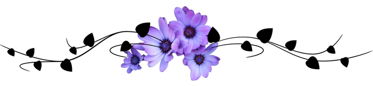 kwiatki logo.png