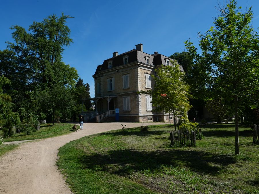 1a1bourgoinvillalilas (2).JPG