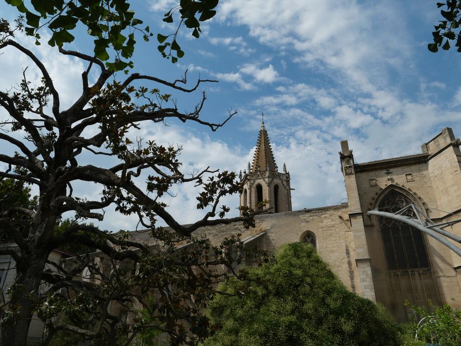 1a1photoavignon (3).JPG