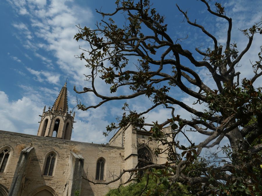 1a1photoavignon (1).JPG