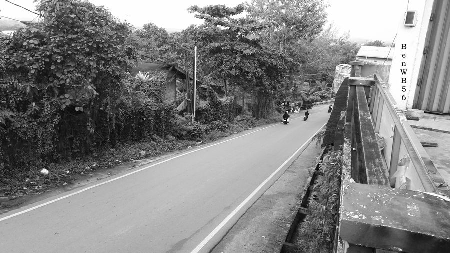 20250128_075345.jpg