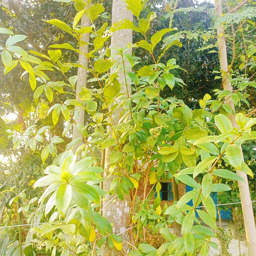 IMG20251129154035.jpg