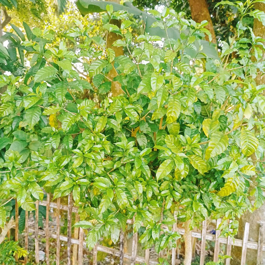 IMG20251129154021.jpg