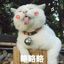 baiyumo