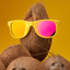 curationcoconut