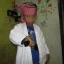 lebah