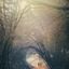 nostrility