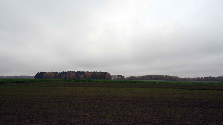 a03.jpg
